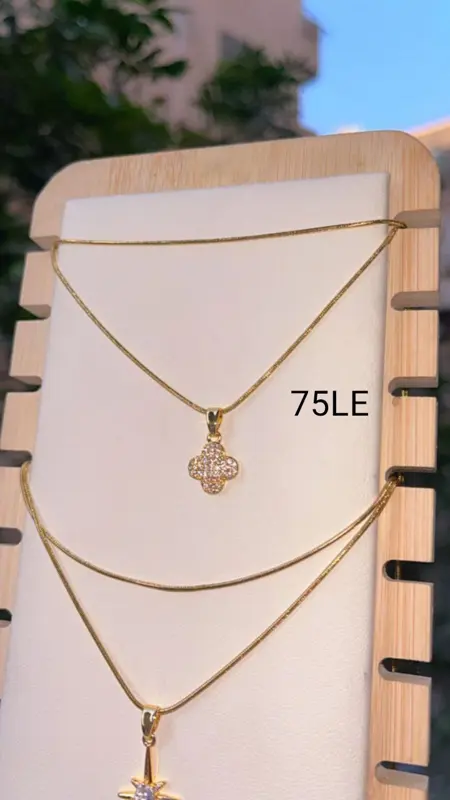 سلسلة "بريق النجوم" من "ذا إليجنت أنيمال" 2️⃣❌1️⃣