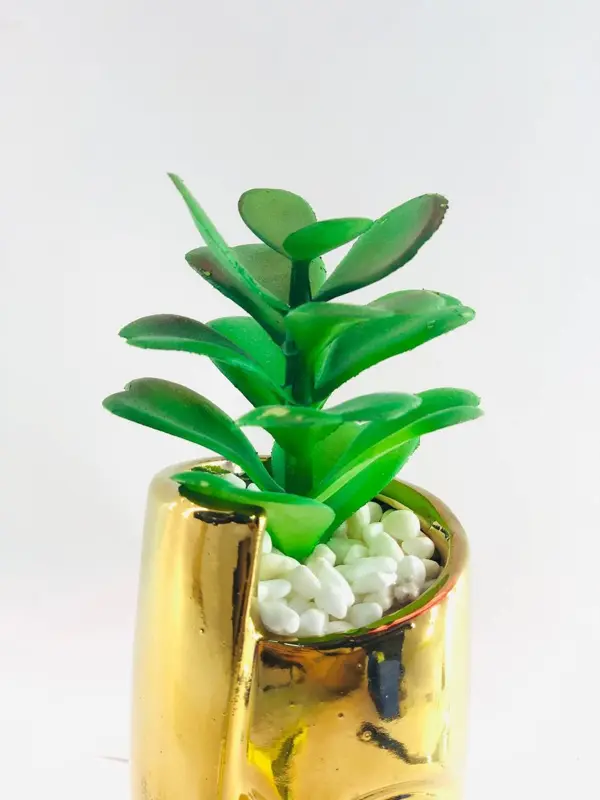 نبات زينة في وعاء خزفي علي شكل إنسان