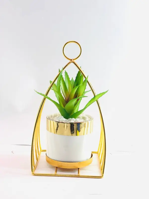 نبات زينة في وعاء خزفي أبيض مع حامل معدني ذهبي