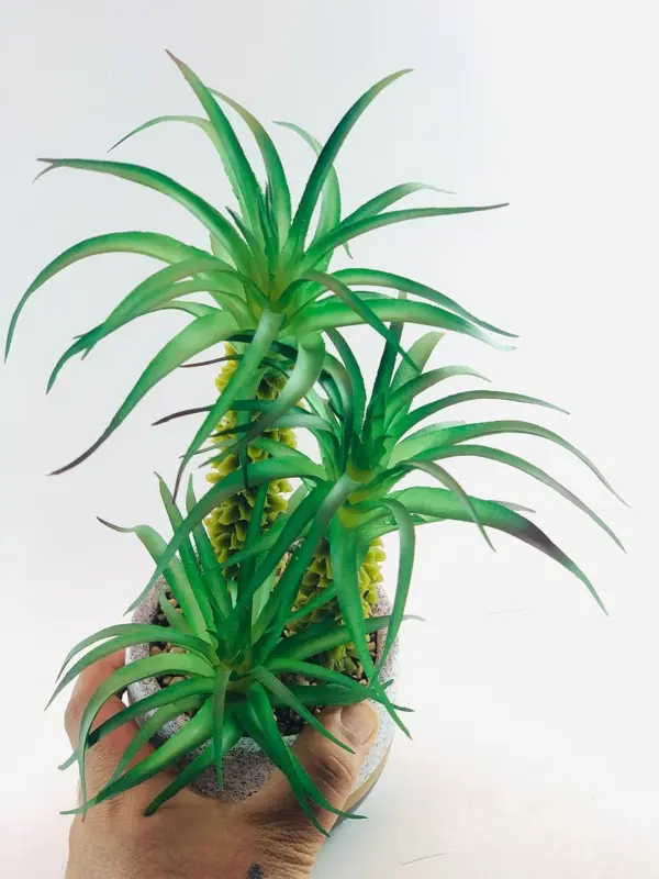 نباتات الخضراء في وعاء رخامي باللون الذهبي والأبيض والرمادي