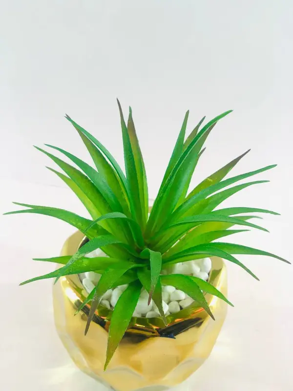 نبات الزينة في وعاء رخامي بتصميم ذهبي لامع