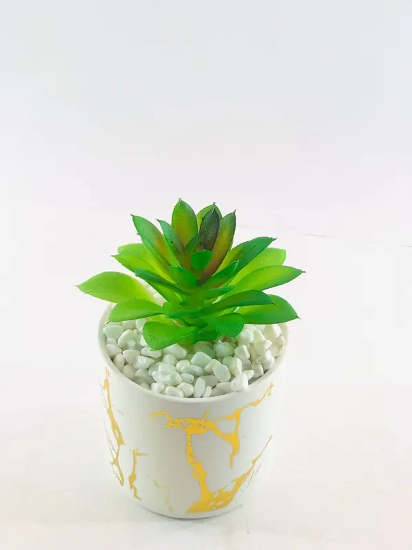 نبات الزينة المعلق في وعاء أبيض وذهبي بحامل معدني