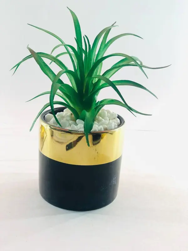 نبات الديكور المعلق بوعاء أسود وذهبي مع حامل معدني أنيق