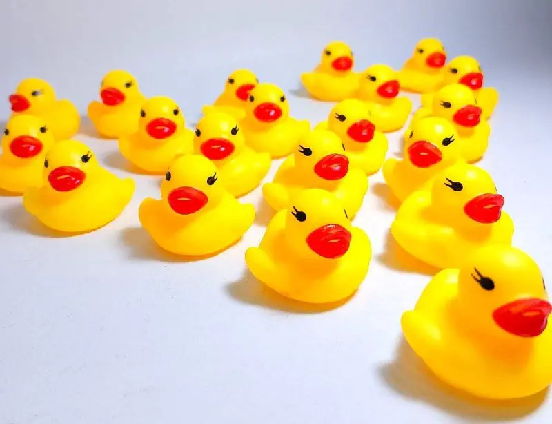 مجموعة البط الأصفر الصغير، 20 بطة زمارة مستوردة