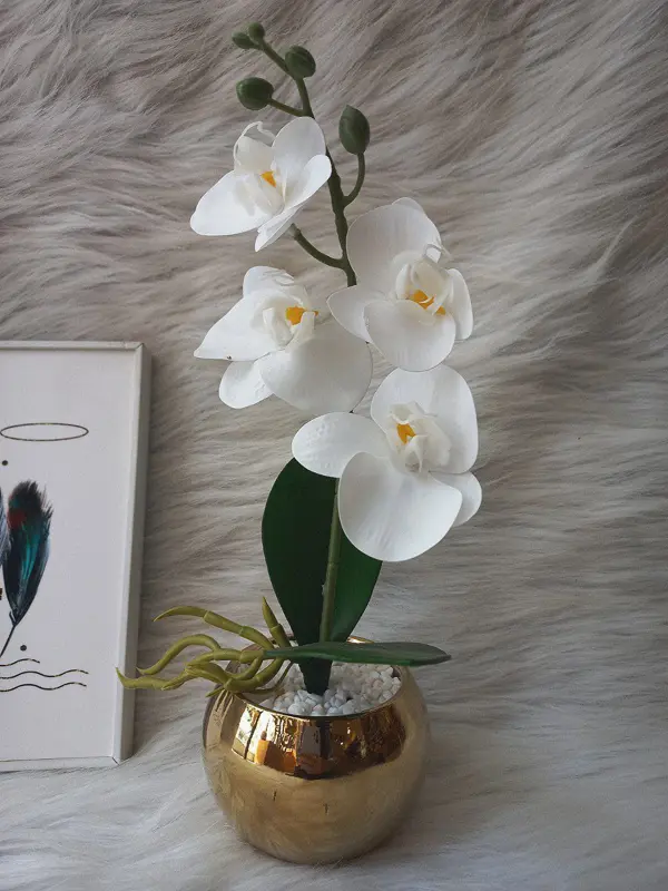 زهرة "الجمال الياباني" الأوركيد الصناعية بلمسة أنيقة ولون هادئ