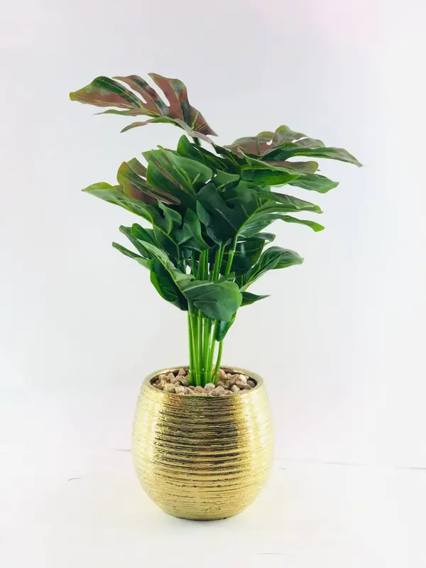 مزهرية الخزف الأنيقة