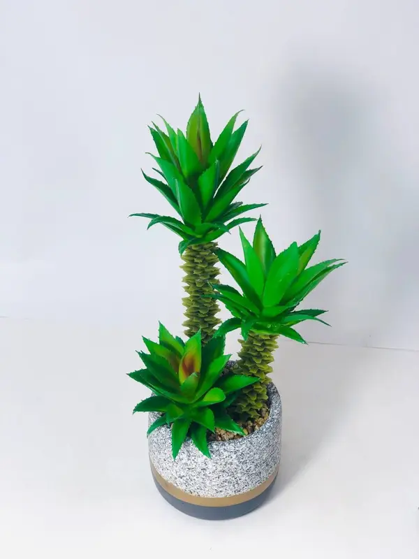 نبات الديكور الخزفي الفاخر