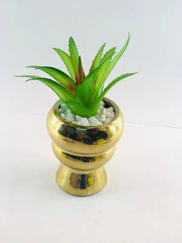 نبات الزينة الأنيق في وعاء ذهبي بلمسة رخامية فاخرة